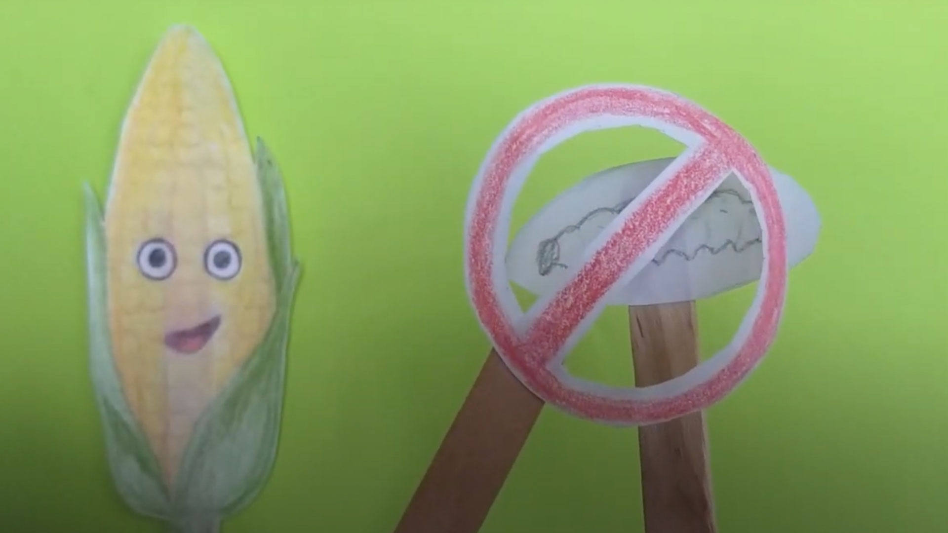 GMO Ad: Corn (Westbrook MS)